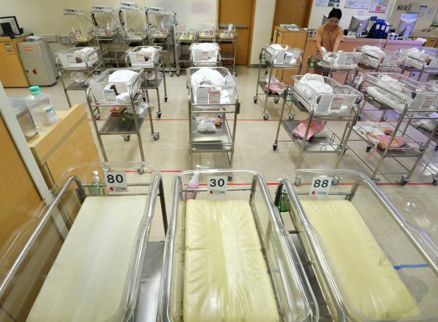 지난해 8월 26일 서울 시내 병원의 신생아실 모습. 24일 발표에 따르면 지난해 한국의 합계출산율은 0.81명으로 역대 최저치로 떨어졌다. 서울=뉴스1