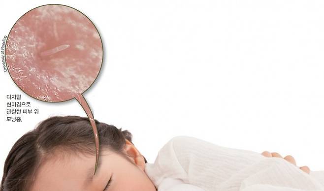 영국 레닝대/어린이과학동아DB