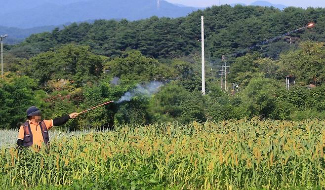 폭죽 쏘는 농민 [촬영 유형재]