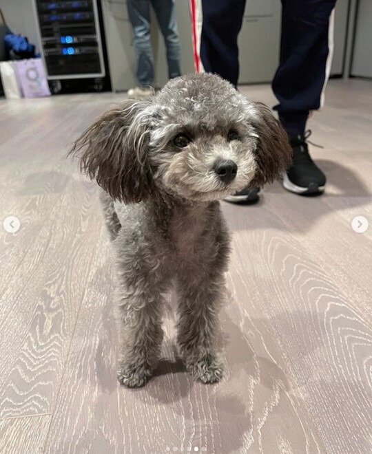 Group Girls Generation member Tiffany showed off her sexy.Tiffany posted several photos on his 31st day with an article entitled Practice Room Maker through his instagram.The photo shows Tiffany posing in all black fashion, and Tiffany shows off her sexy look with her head up.