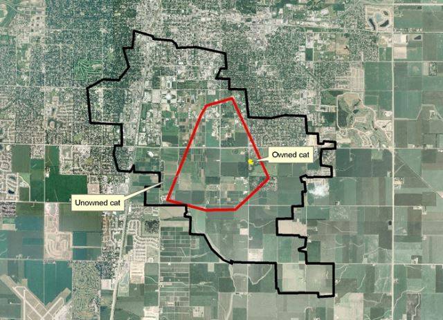 미 일리노이 주립대학이 파악한 고양이들의 행동 반경. 집을 떠나지 않은 고양이(노란색)도 있었지만, 축구장 800개가 넘는 영토를 차지한 길고양이(검은색)도 있었다. 미 일리노이 대학