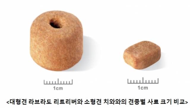 20kg이 넘는 대형견과 5kg 미만 소형견의 사료 모형. 대형견 사료는 식탐을 억제하고, 소형견 사료는 집어먹기 편하도록 설계됐다. 로얄캐닌 제공