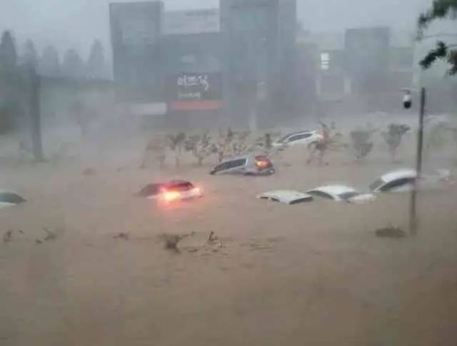 5~6일 태풍 힌남노 영향으로 침수된 포항 시내의 모습. 온라인 커뮤니티 캡처