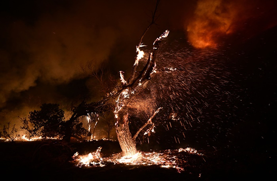 현지시간 6일 미국 캘리포니아주 헤멧 인근 화재 현장. 〈사진-AFP·연합뉴스〉