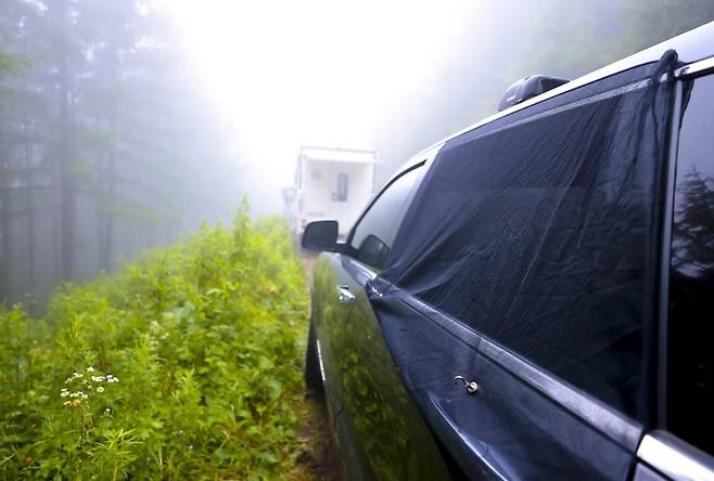 차박용 모기장 [사진/성연재 기자]