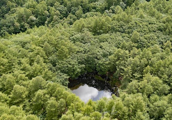 깊은 산 속의 도롱이 연못 [사진/성연재 기자]