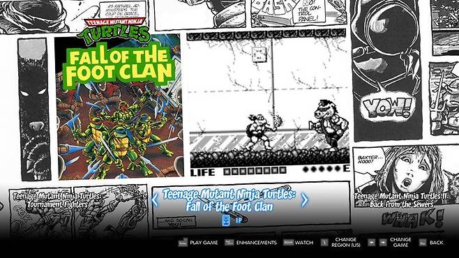 Teenage Mutant Ninja Turtles: Fall of The Foot Clan