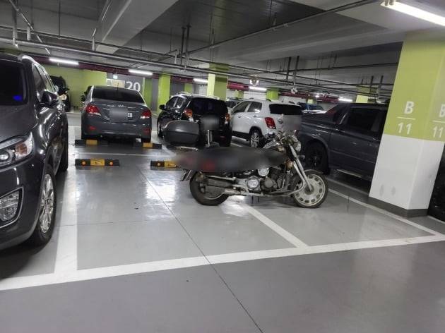 사진 = 독자 제보