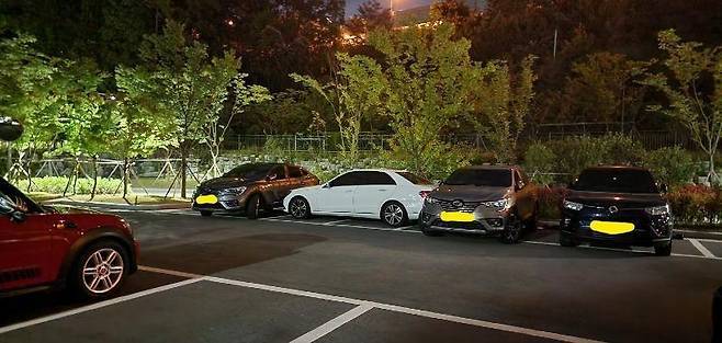 민폐 차주 참교육한 시민들 차. / 사진=온라인 커뮤니티 캡처