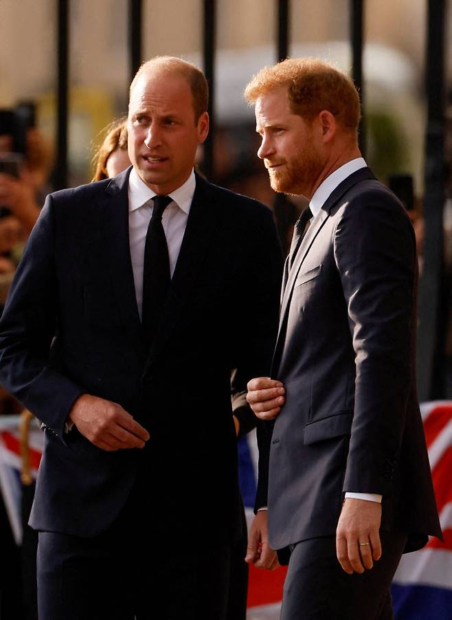 윌리엄(왼쪽) 영국 왕세자와 해리 왕자가 10일(현지시간) 영국 윈저성 앞 민정시찰(walkabout)에서 대화를 나누고 있다. (사진=로이터)