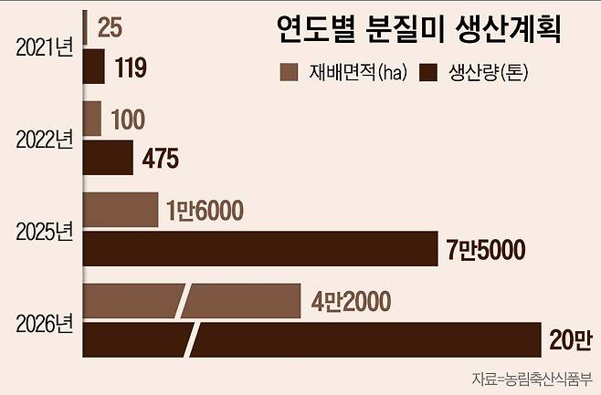 그래픽=이은현