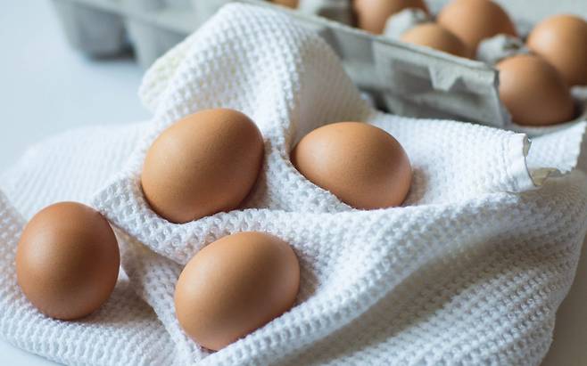 비타민D가 많은 음식으로 꼽히는 계란. [망고보드]