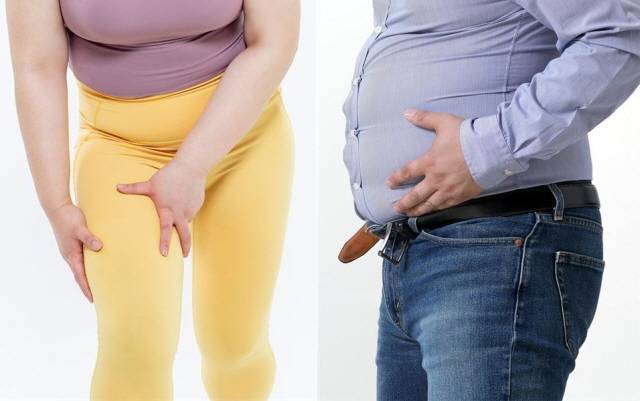 성호르몬의 작용 때문에 남성은 뱃살, 여성은 허벅지살이 더 잘 찐다./사진=클립아트코리아
