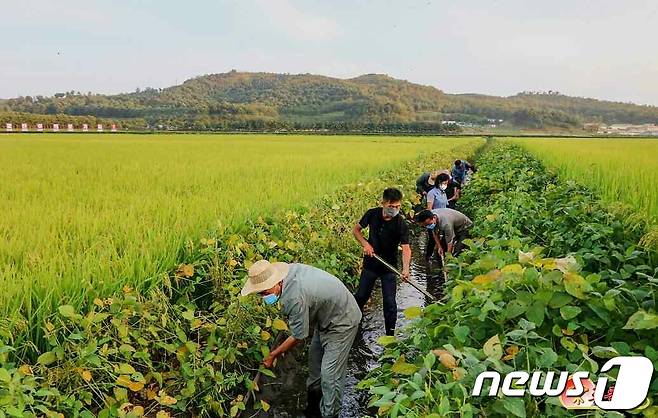 (평양 노동신문=뉴스1) = 북한 노동당 기관지 노동신문은 14일 제12호 태풍 무이파와 제13호 태풍 므르복의 발생을 언급하며 재해성 기후에 대한 대책 마련을 강조했다. 신문은 "인민경제 모든 부문과 단위의 일꾼들과 근로자들은 가을철에도 재해성 기후가 계속된다는 것을 명심하고 항상 각성하여 고도의 긴장 상태를 견지해야 한다"라고 주장했다. [국내에서만 사용가능. 재배포 금지. DB 금지. For Use Only in the Republic of Korea. Redistribution Prohibited] rodongphoto@news1.kr