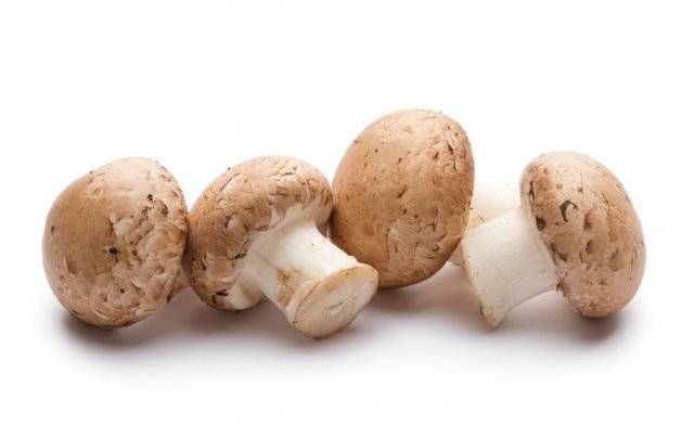 게티이미지뱅크