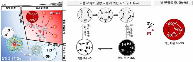 산화-환원 반응에 따른 나노젤의 구조 변화 모식도.[UNIST 제공]