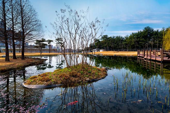 삼성전자 화성 사업장 그린센터를 통해 정화된 물로 조성한 연못 [삼성전자 제공]