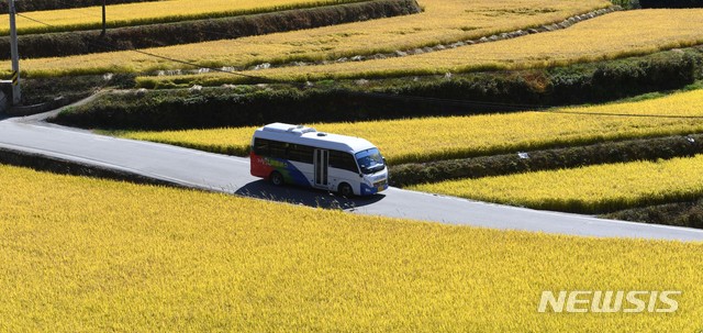 [서울=뉴시스] 황금 들녘. (사진=뉴시스 DB). photo@newsis.com