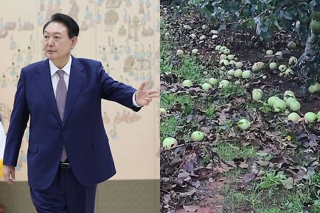 연합뉴스·서산시 제공