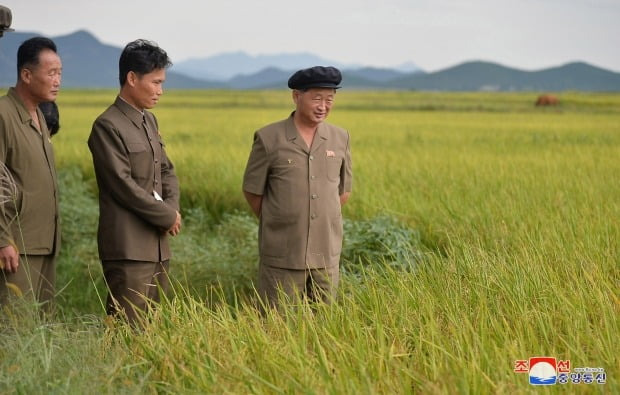 북한 김덕훈(오른쪽) 내각총리가 황해남도 태탄군 옥암농장의 농사실태를 현지 파악하고 있다. /사진=연합뉴스