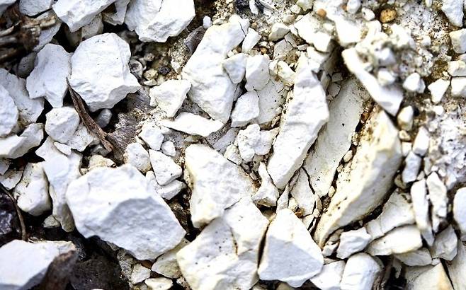 상파뉴 쵸크토양