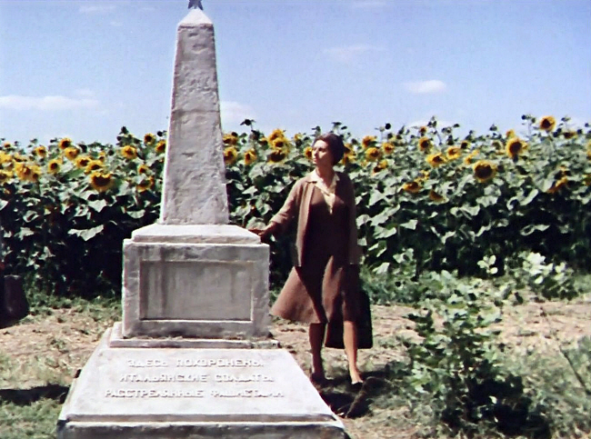 1934년 9월 20일 이탈리아에서 태어난 소피아 로렌 주연의 1970년 작 영화 ‘해바라기’. 2차세계대전에 징집돼 우크라이나 전선으로 갔다 실종된 남편을 찾는 아내 조반나가 해바라기밭에서 위령비를 바라보고 있다.  자료사진