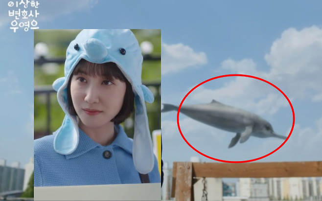 드라마 ‘이상한 변호사 우영우’에 등장한 양쯔강돌고래