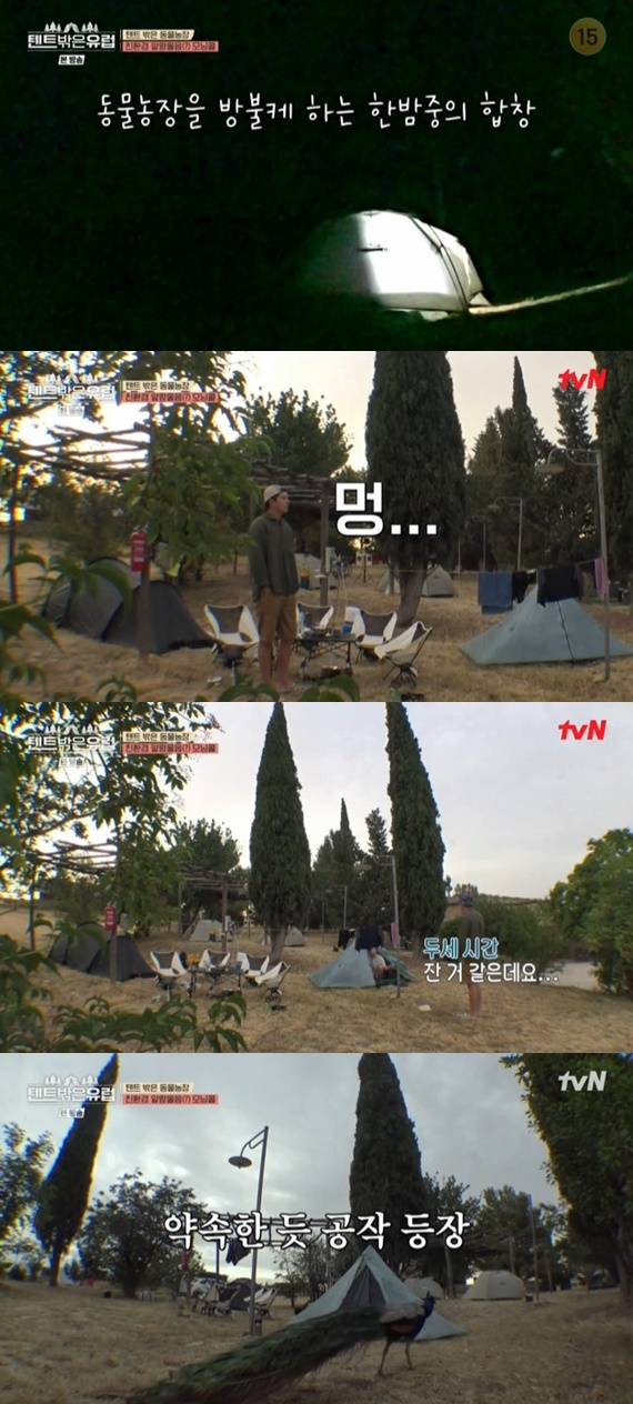 tvN '텐트 밖은 유럽' 캡처