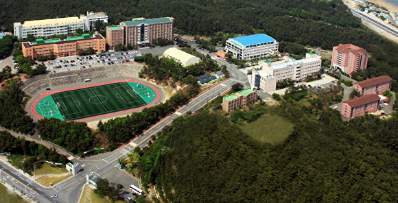 포항대학교 전경. [사진=포항대학교]