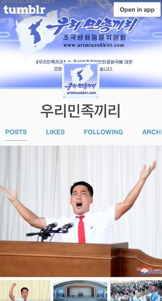 북한 ‘우리민족끼리’ 텀블러 계정 화면. 자유아시아방송 캡처