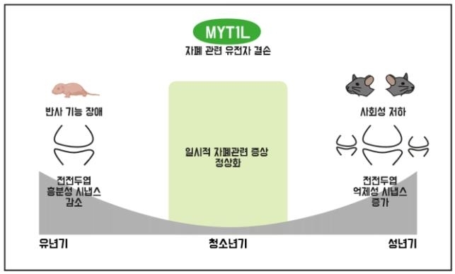 MYT1L 결손 자폐 생쥐의 자폐 증상. 기초과학연구원(IBS) 제공.