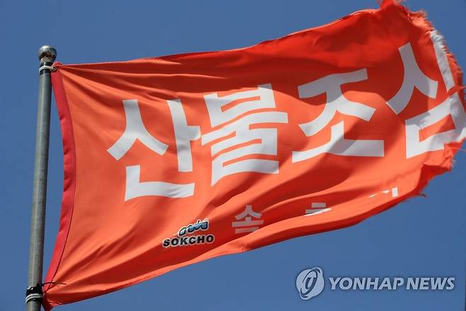 산불 조심 [연합뉴스 자료사진]