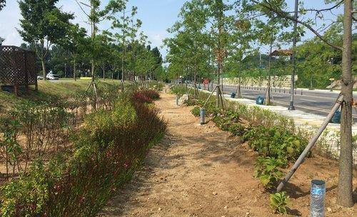 도시숲  [연합뉴스 자료사진]