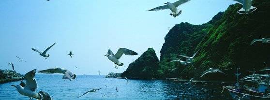 울릉도 도동항. 중앙포토