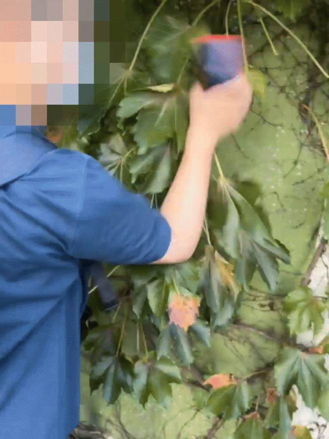 불법촬영범이 학생들에게 붙잡히자 자신의 핸드폰을 부수는 장면 [학생 본인 촬영]