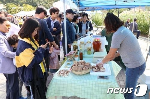 영동군 6회 자연산 버섯 음식거리 축제 모습.  (영동군 제공)