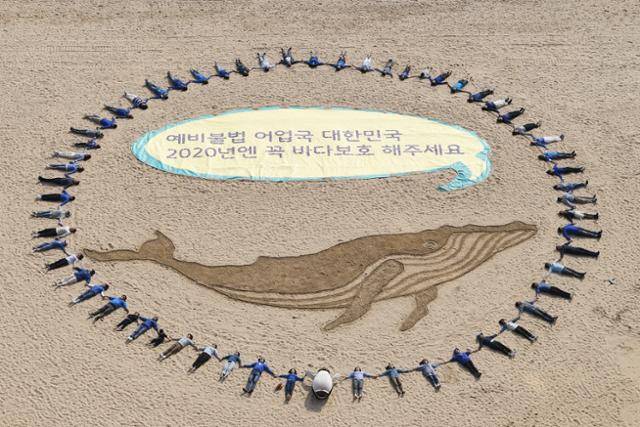 2019년 부산 해운대구 해운대해수욕장에서 국제 환경단체 그린피스 회원과 시민 등이 '고래 불법 어획 금지' 퍼포먼스를 펼치고 있다. 한국일보 자료사진