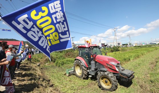 지난 21일 충남 논산시 상월면 논에서 농민이 정부의 쌀값 보장을 요구하며 트랙터로 벼를 갈아엎고 있다. 뉴스1