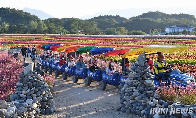 고석정꽃밭의 명물 '깡통열차'&nbsp; 꽃밭잔디광장에서 1.2km 코스를 운행하는 깡통 열차가 운영되고, 지역농산물을 구매하고 간단한 먹거리를 즐길 수 있는 식음료 쉼터도 마련되어 있다.