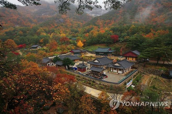 동해시 삼화사 [동해시청 제공]