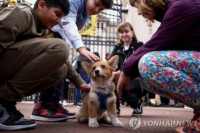 버킹엄궁 앞에서 사람들을 맞고 있는 코기 '클라이브' [로이터 연합뉴스 자료사진. 재판매 및 DB 금지]