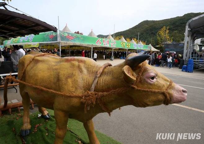 지난 2019년에 개최된 ‘홍천 인삼·한우 명품축제’ 축제장 모습. (홍천문화재단 제공)