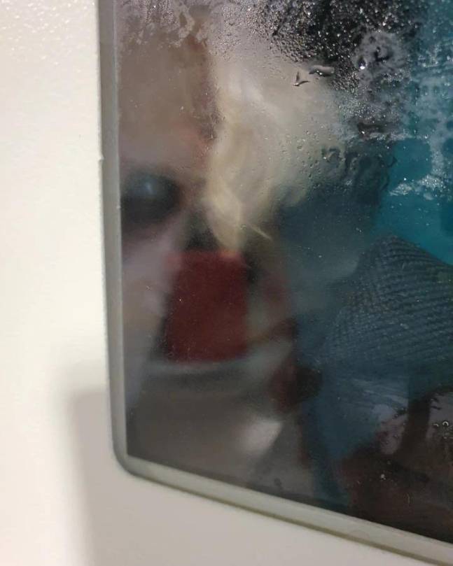 25일 동대구역 물품 보관함에 갇혀 있던 강아지가 한 시민의 신고로 구조됐다. [연합]