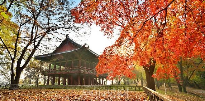 공주 공산성 임류각 가을 풍경