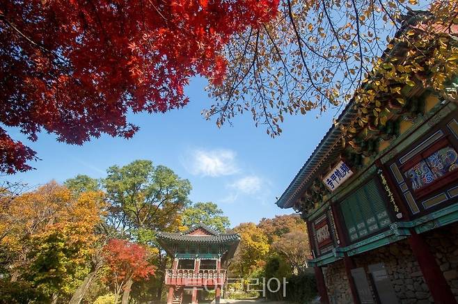 공주 갑사 가을 풍경