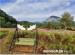 가평 ‘연인산 코스모스 정원’ 흔들의자. 사진제공=경기북부청
