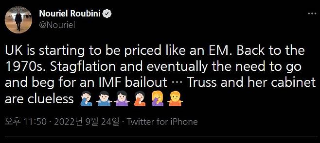 /사진=누리엘 루비니 전 뉴욕대 교수 트위터