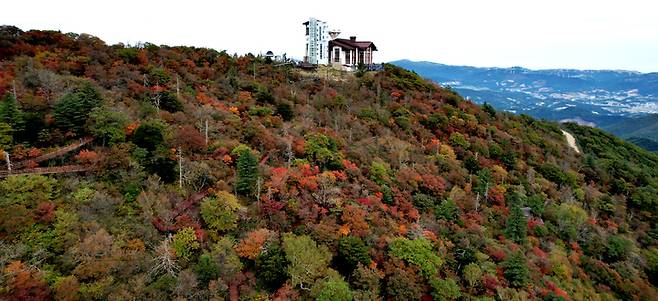 [평창=뉴시스] 김경목 기자 = 28일 강원도 평창군 대관령면 발왕산(해발 1458ｍ) 정상 지점의 단풍나무에 울긋불긋 오색의 단풍이 곱게 물들어가고 있다. (사진=용평리조트 제공) 2022.09.28. photo@newsis.com *재판매 및 DB 금지
