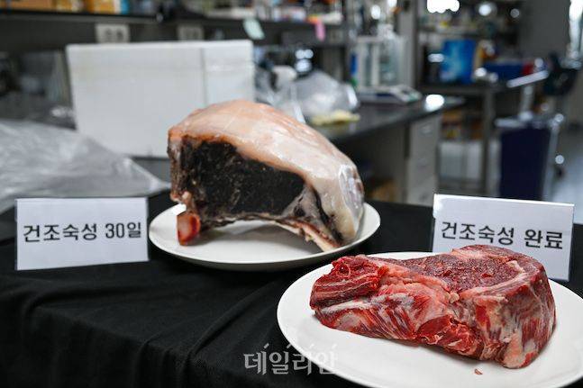 마블링이 적고 질기다는 이유로 버려진 2등급 한우가 건조숙성을 만나 환골탈태했다. 건조숙성 30일을 거친 한우는 육질과 풍미 등 모든 부분에서 최상급 한우고기와 견줄만큼 뛰어났다. ⓒ배군득 기자