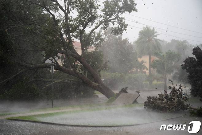 28일 (현지시간) 허리케인 '이언'이 상륙한 플로리다주 새러소타에서 강풍으로 나무가 뿌리 채 뽑히고 있다. ⓒ AFP=뉴스1 ⓒ News1 우동명 기자